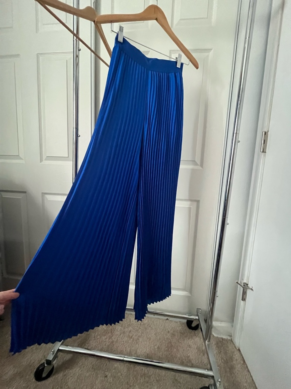 Pleated Wide-Leg Pants